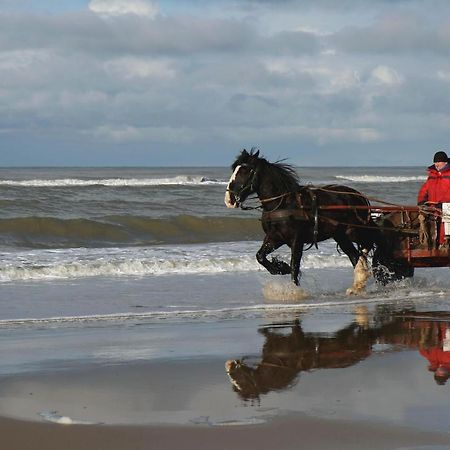 Centraal Aan Zee Leilighet Egmond aan Zee Eksteriør bilde