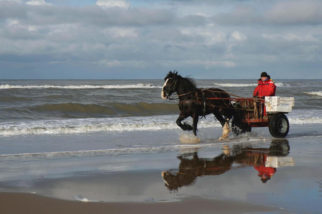 Centraal Aan Zee Leilighet Egmond aan Zee Eksteriør bilde